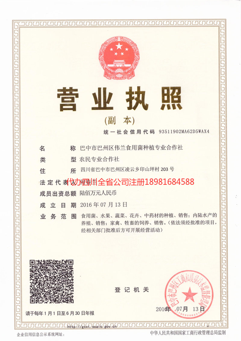 无为无为伟兰食用菌种植专业合作社